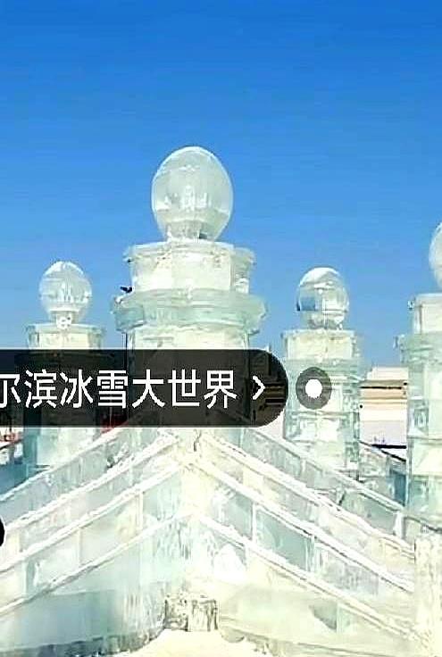 宋丹丹大儿子巴图，半年直播卷走3600万。他那个国家队弟弟英如镝，累死累活才10