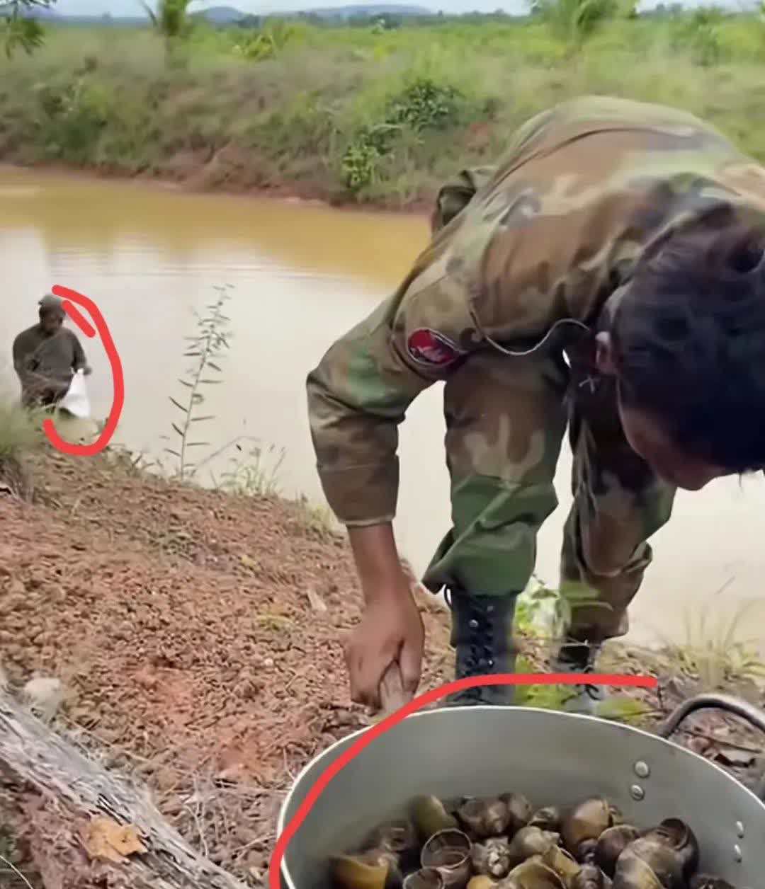 洪森就拿这个考验部队战斗力？怪不得打不过泰国，士兵自己下水捞点福寿螺上来用水