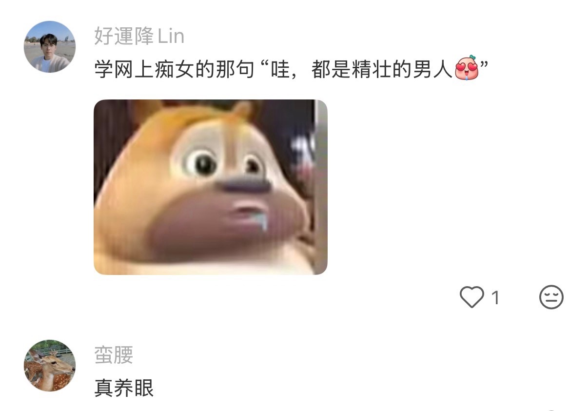 这才是我想看的划龙舟