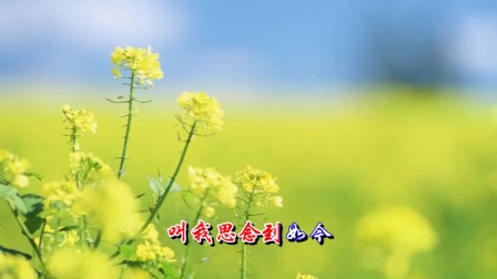 14.妈妈的吻-朱晓琳-歌声飘过30年(1)_土豆视频