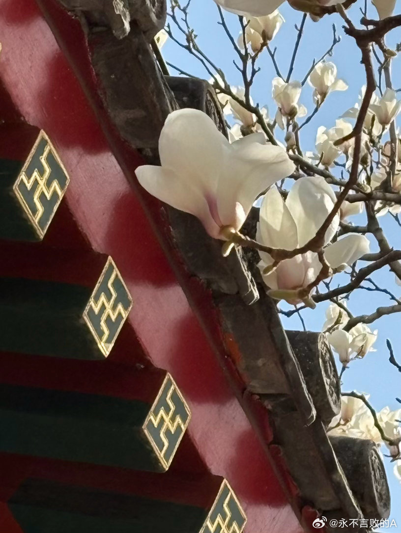 陶然亭慈悲庵摄影