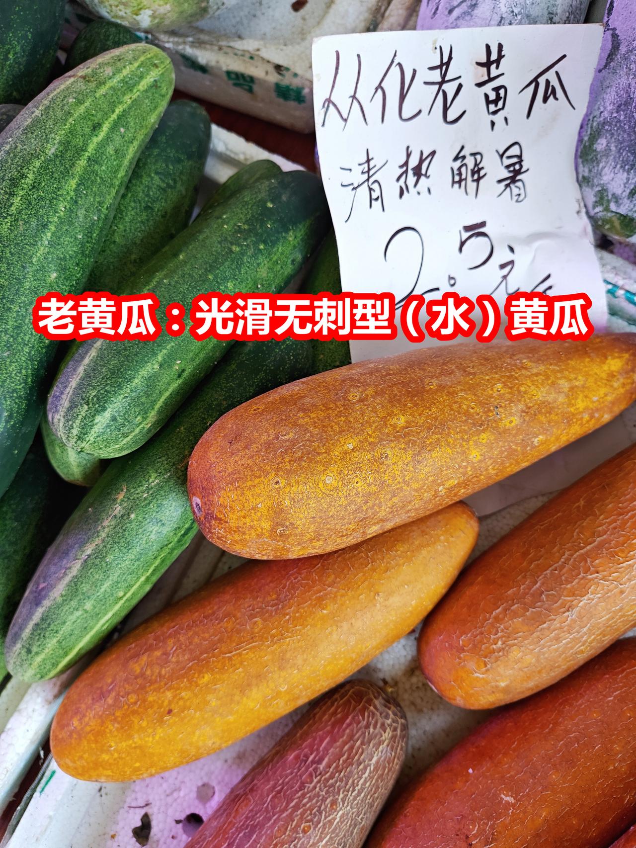 老黄瓜：光滑无刺型（水）黄瓜成熟体，煲汤一流。多刺型黄瓜：北方种植为主，故又