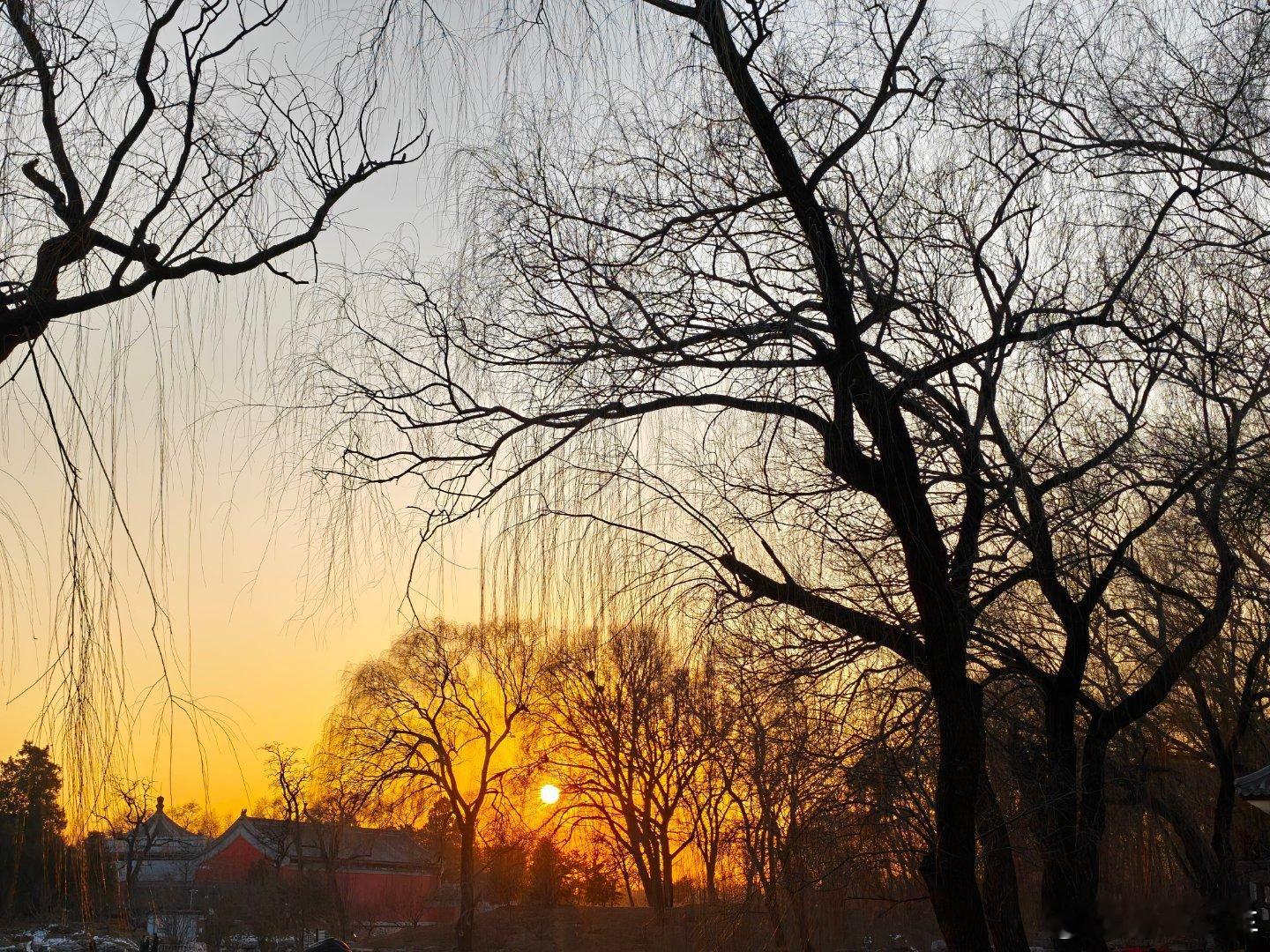 一百块就为了踩踩雪我的日常plog