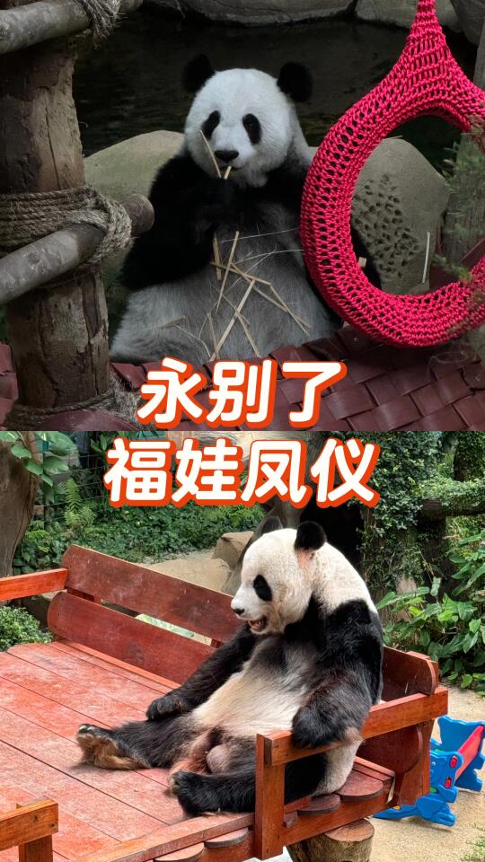 🇲🇾这次真的是永别了😢