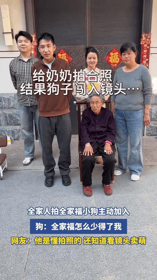 一家人正准备给奶奶拍合照，刚摆好姿势，家里的金毛突然闯了进来。它先是乖乖坐下