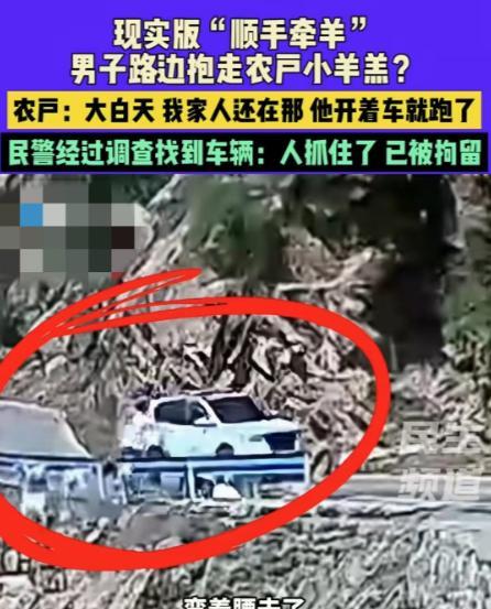 河南一名男子开车过山路偶遇羊群，不料直接下车抓了一只羊，就塞进车里扬长而去。放羊