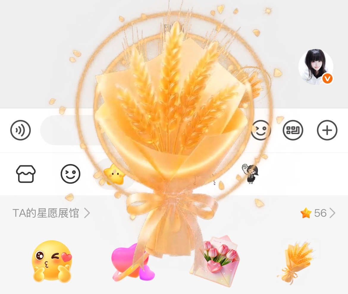 哦不不不我的星星……​​​