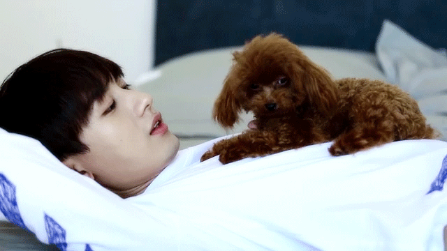 成毅睡前小习惯看动物世界整理一组成毅与小动物互动合集成毅真的是一个超温暖超治愈的