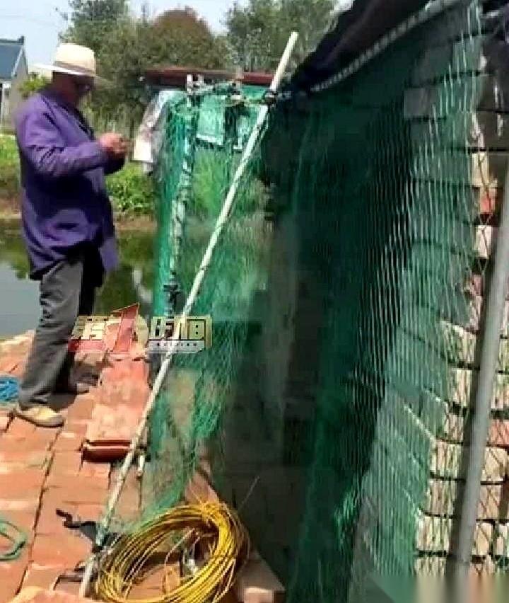 江苏南通这个女孩刚把“两道杠”的化验单递过去，头发花白的爷爷二话没说，转头就冲进