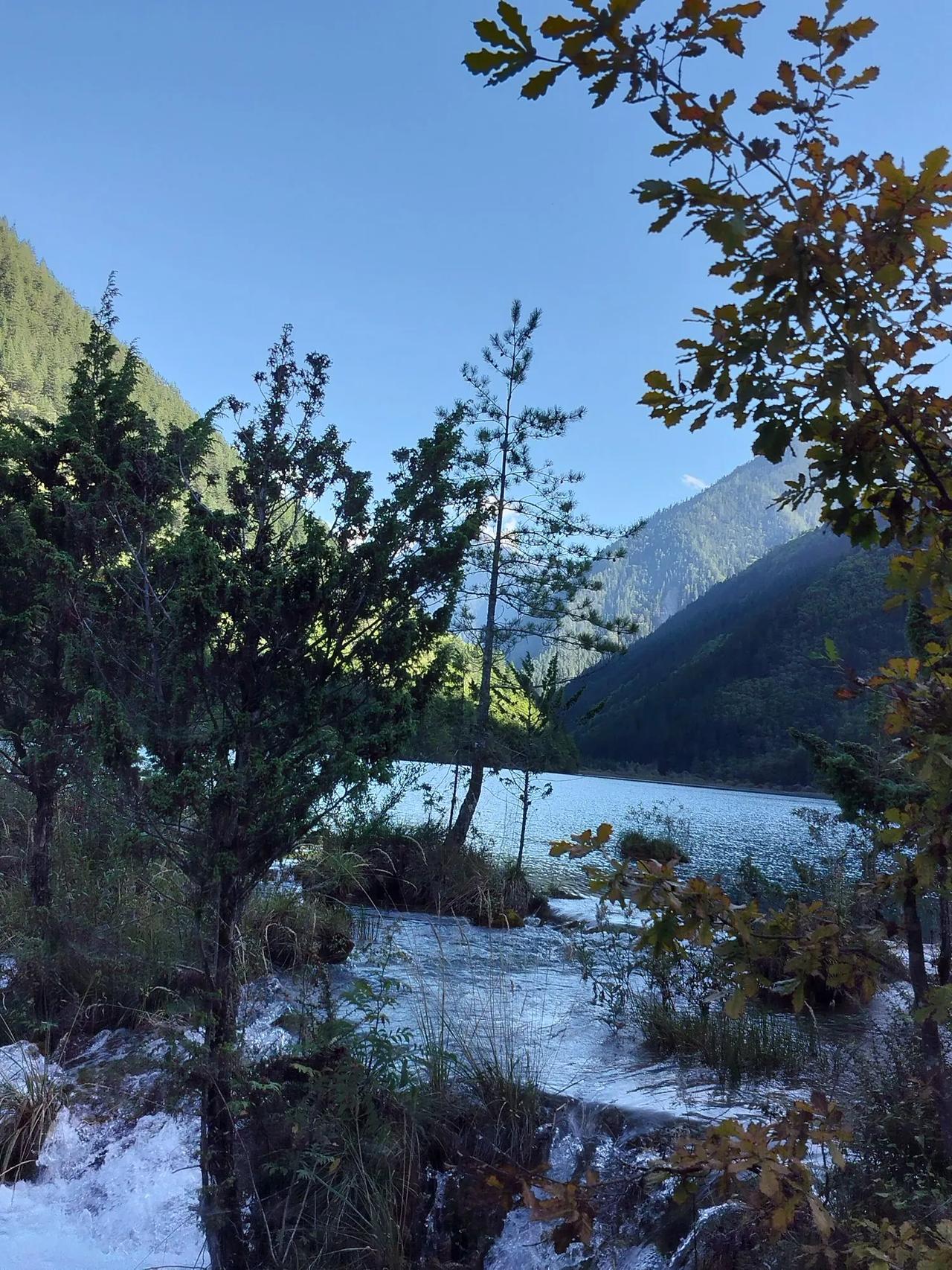 2026最想实现的一件事中大乐透一等奖