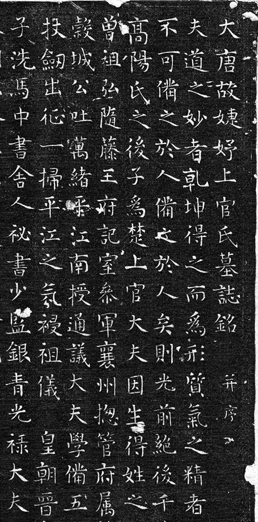 2013年9月，陕西咸阳。 考古队在西咸新区一片工地上挖出一座唐墓。墓被砸得