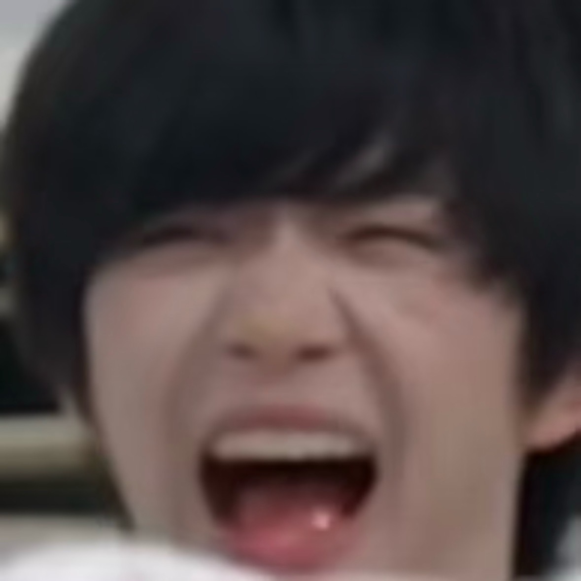 啥猫​​​