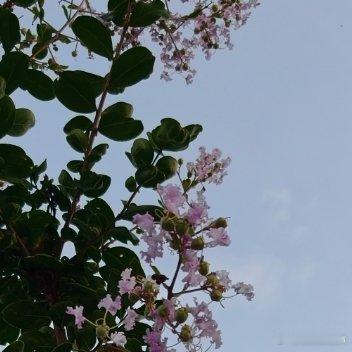 有人宠你是惊喜，自己宠自己是能力，做自己的海，而不是追赶别人的浪潮。余生很贵，请