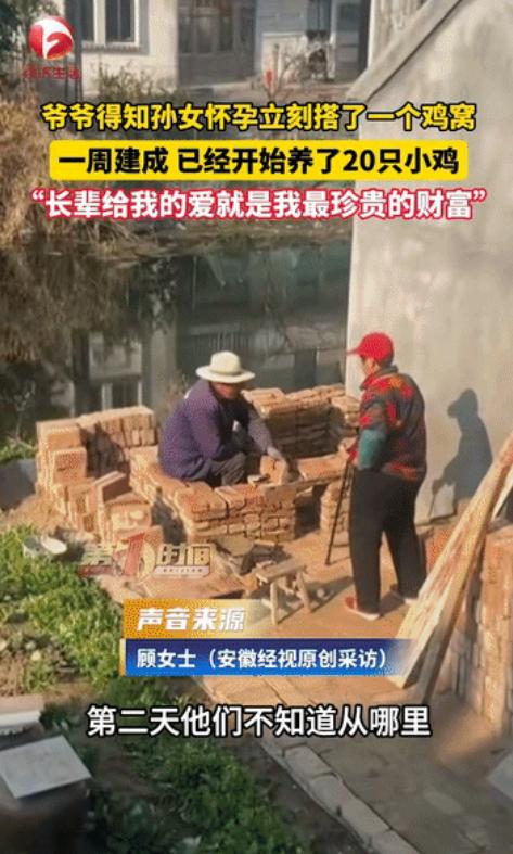 泪目了！江苏南通，爷爷得知孙女怀孕了，第二天就去买砖头花一周的时间盖了一个鸡窝，