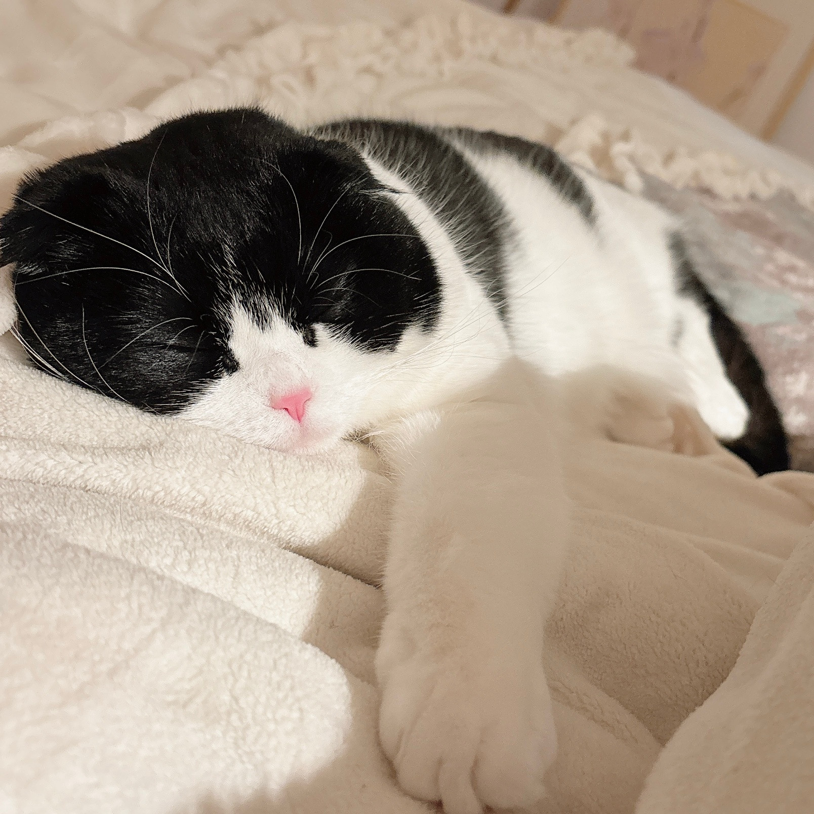 一回头，这孩子睡的真香