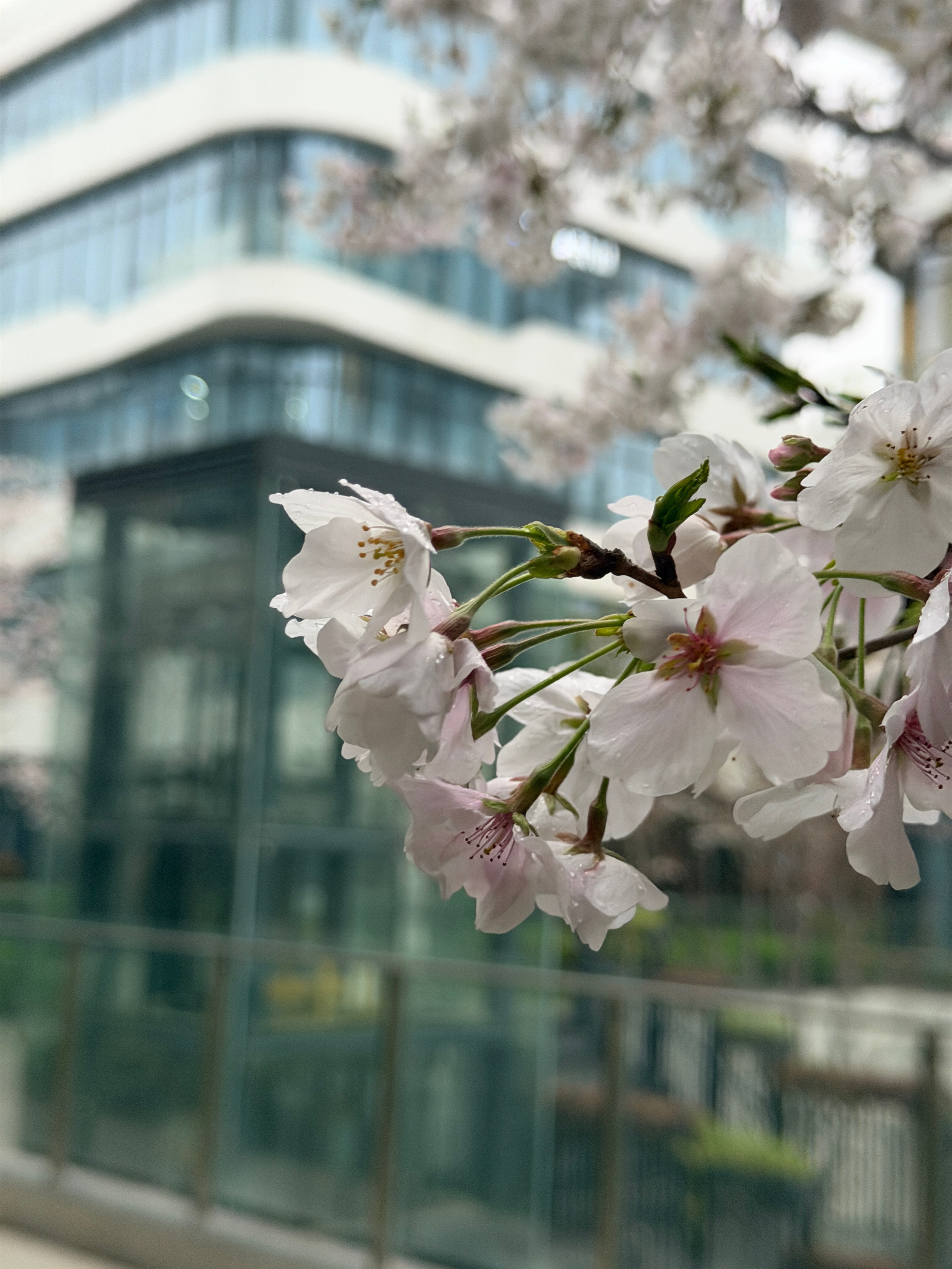 惊了，17PM这个虚化真得好。