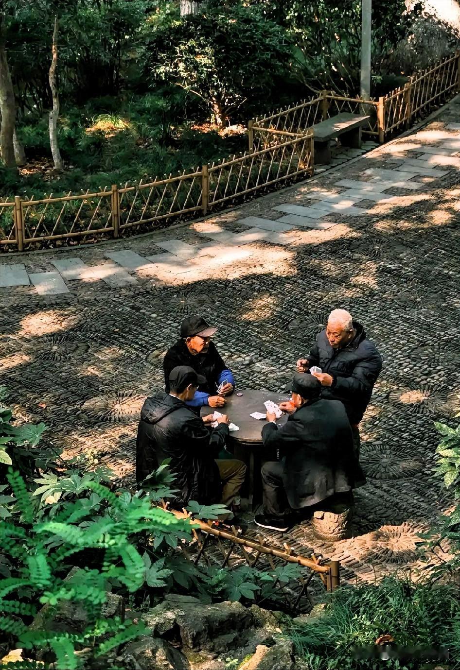 有养老金够花就别再凑职场的热闹，守着自己的老窝比挤儿女家自在，手里攥着养老钱才是