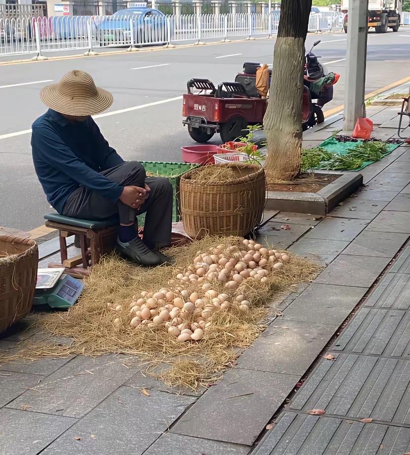 卖土鸡蛋的大爷看这样的场景太有画面感和感染氛围了有一种姜太公钓鱼的感觉大爷
