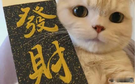 vplus足球狂欢季每日足球推荐竞彩足球英超22:00布伦特福德vs布莱