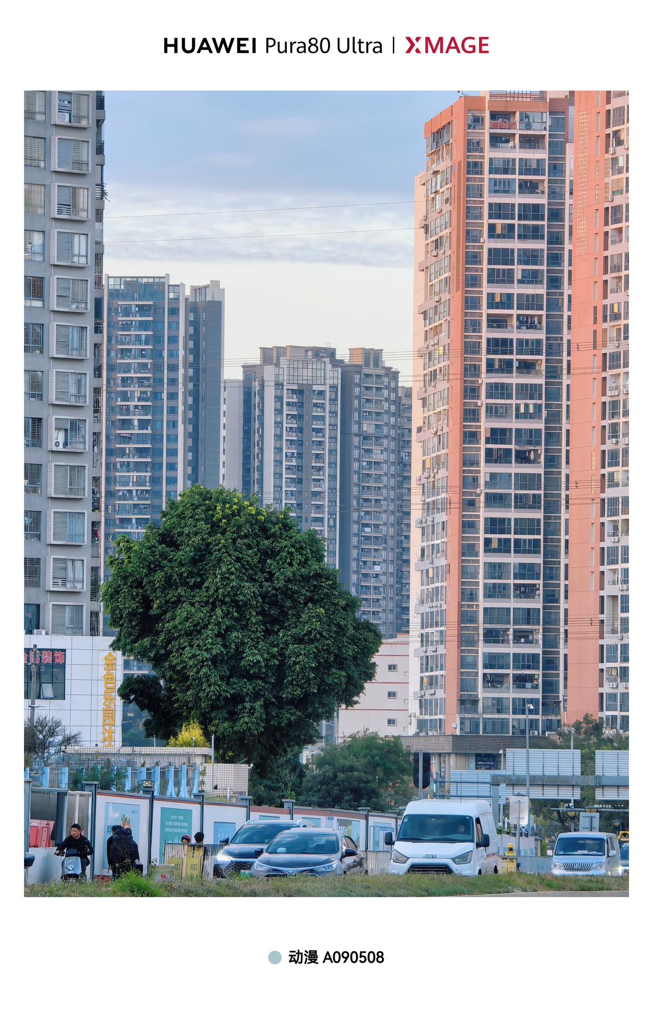 华为Pura八零ultra一镜双目十倍定焦的城市风光🏙，楼下的车与树在高楼大