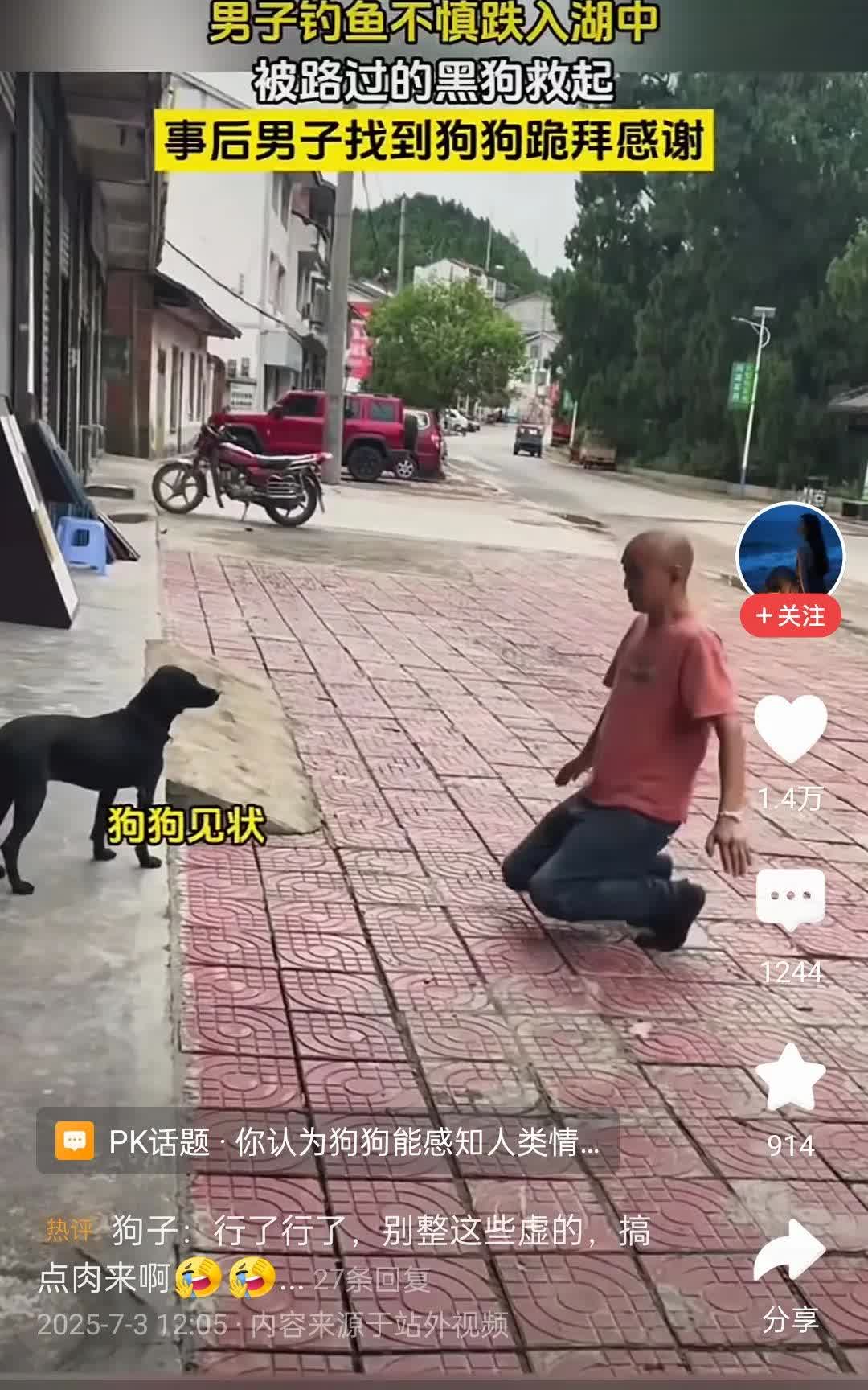 男子钓鱼不慎跌入湖中，路过湖边的黑狗把他救起。男子登门拜谢，还向黑狗行跪拜礼。黑