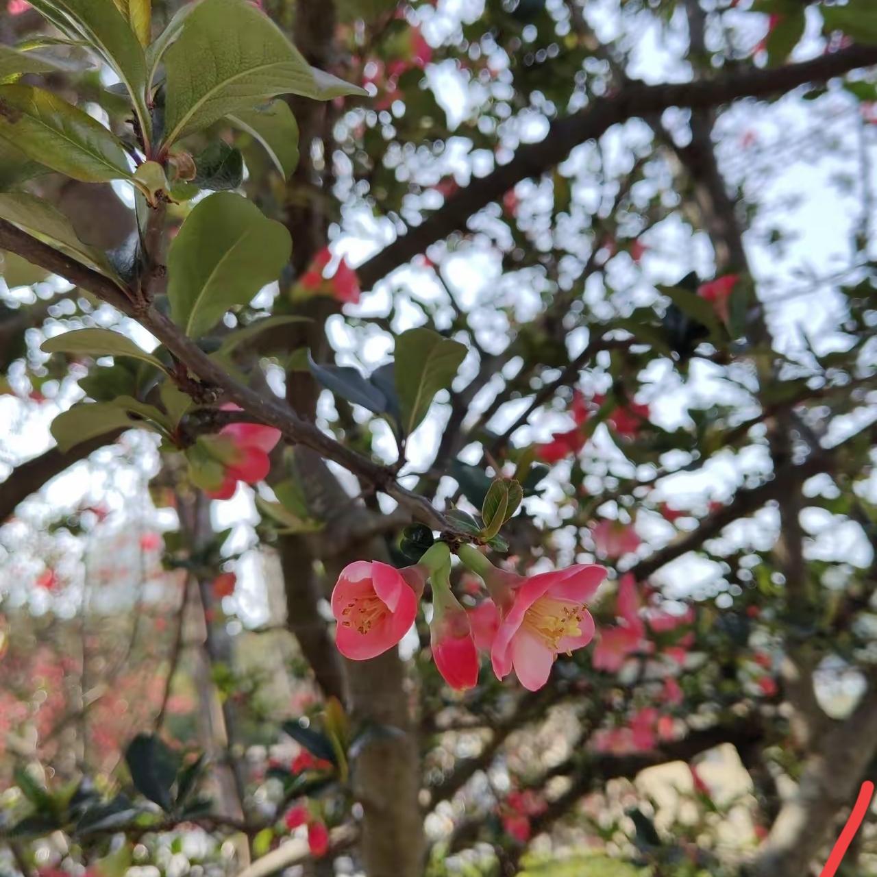 一个高中老师对学生说的话让我感触很深。她说：伊朗的战争和我们每个人都息息相关，伊