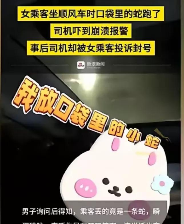 天津，顺风车司机开车到半路，车上的女乘客突然让他停车，说她那1米长的小蛇不见了，