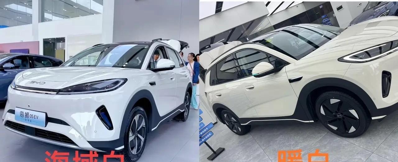 比亚迪一官宣大降价，第二天我就直接去订车了，定了一台海狮05ev，车是3月底看中
