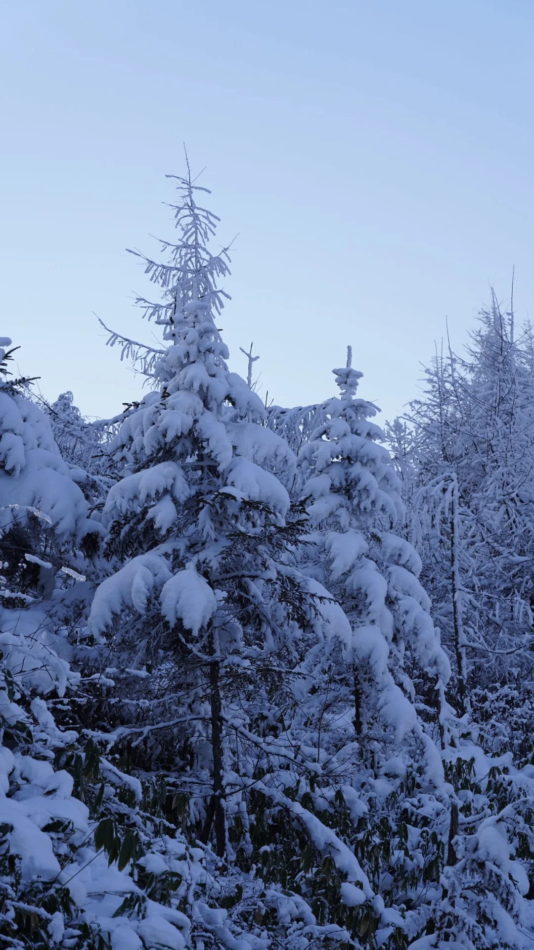 不在北方在川东！雪地徒步、还有冰雪大世界……