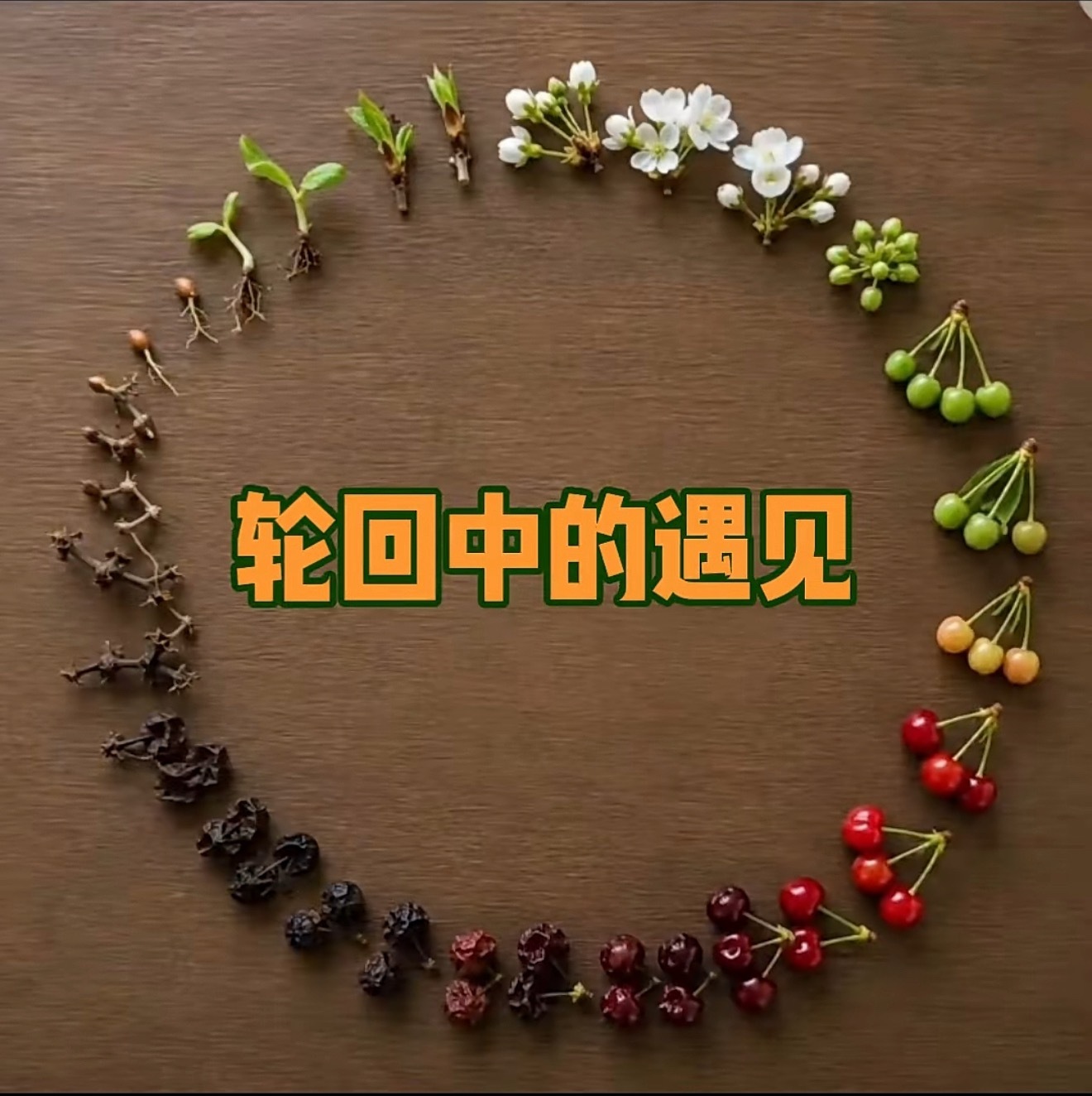 《道德经》里面有一句话几乎可以解决所有问题。反者道之动，弱者道之用。这句话是说所