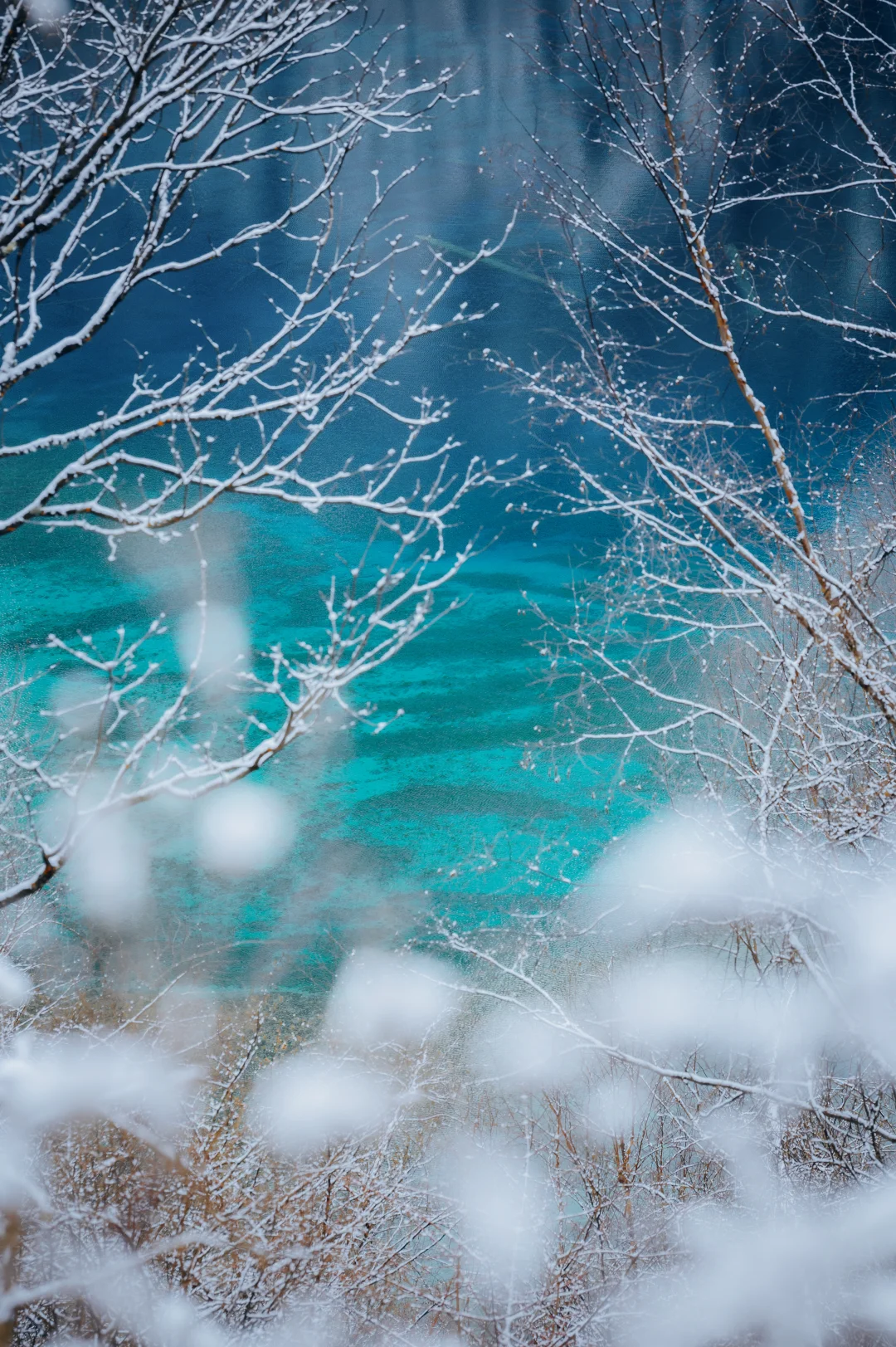 公共交通去九寨沟，你需要知道的一些细节