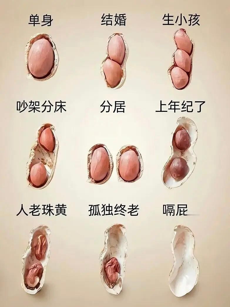 我们和花生的区别或许是…它生来有房