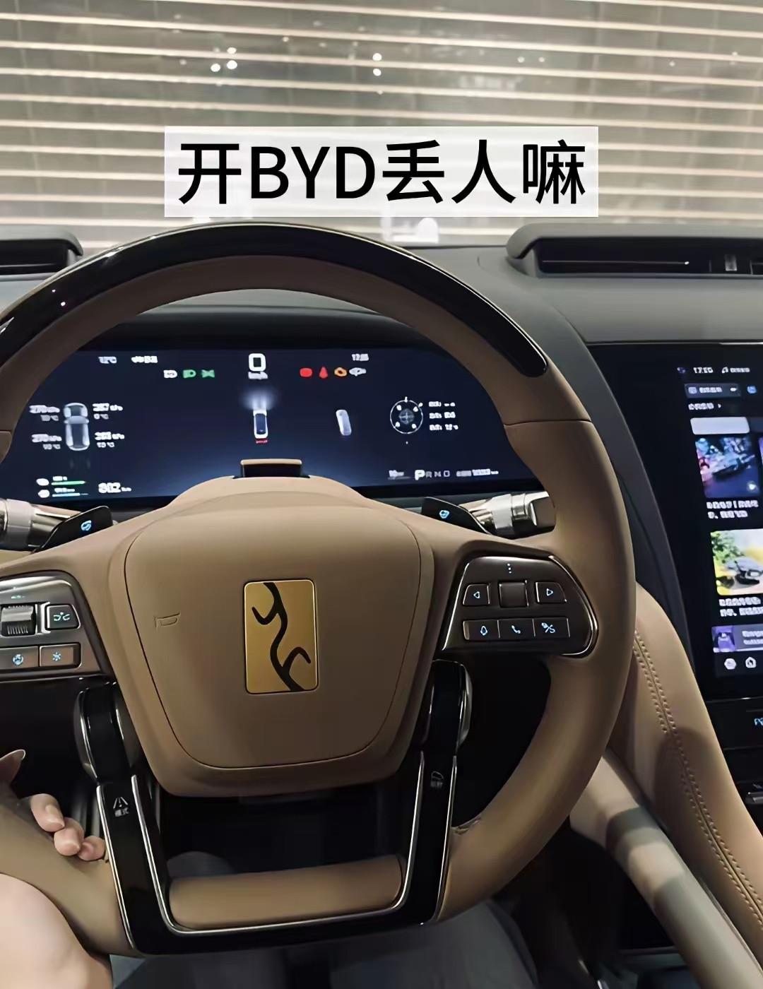 亲戚问我为啥买个比亚迪？我掏出仰望U8钥匙直接笑了​​​