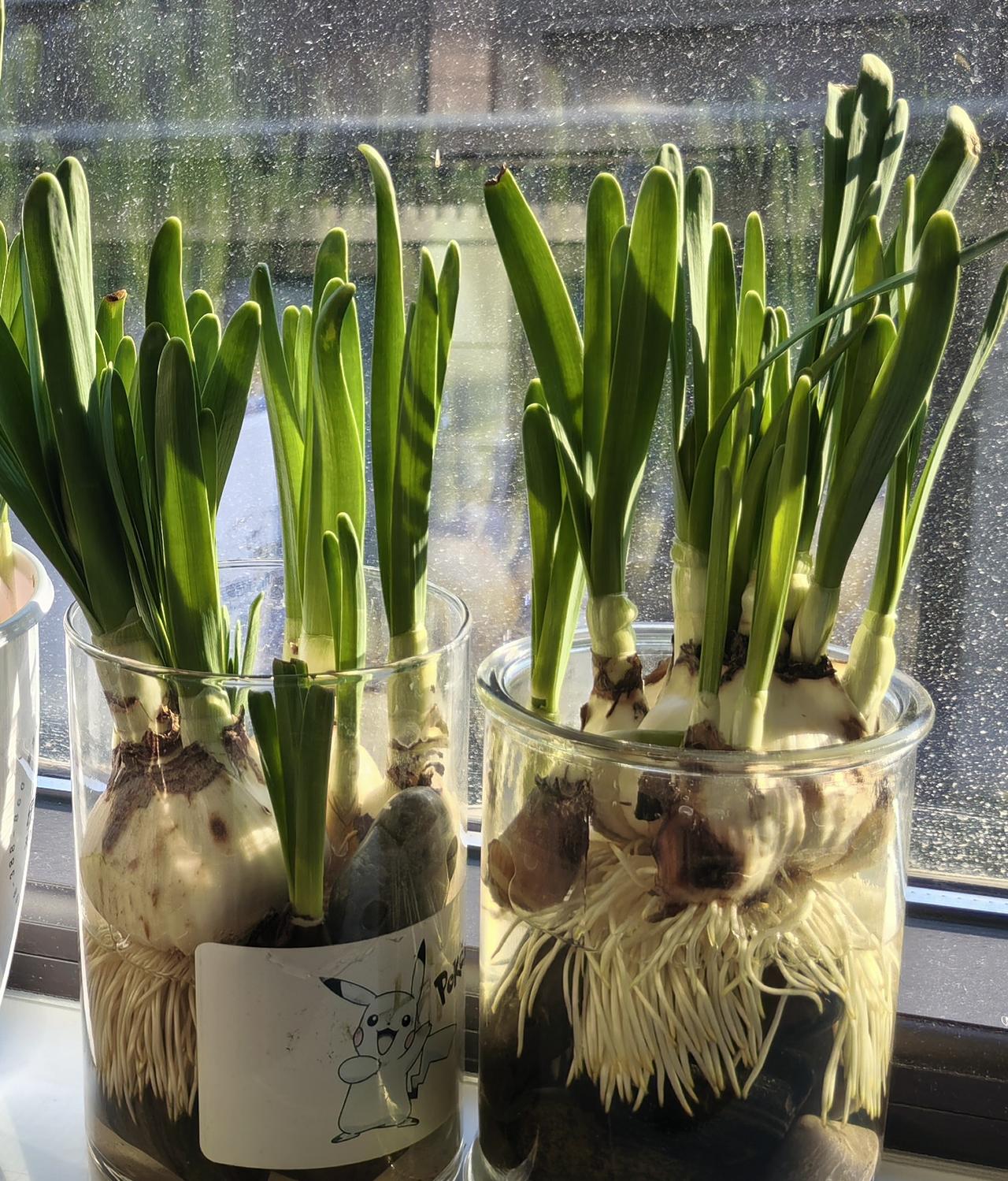 我们村上有几个70多岁的老婆婆，经常到我公公婆婆家聊天，没事就说这不舒服那不舒服