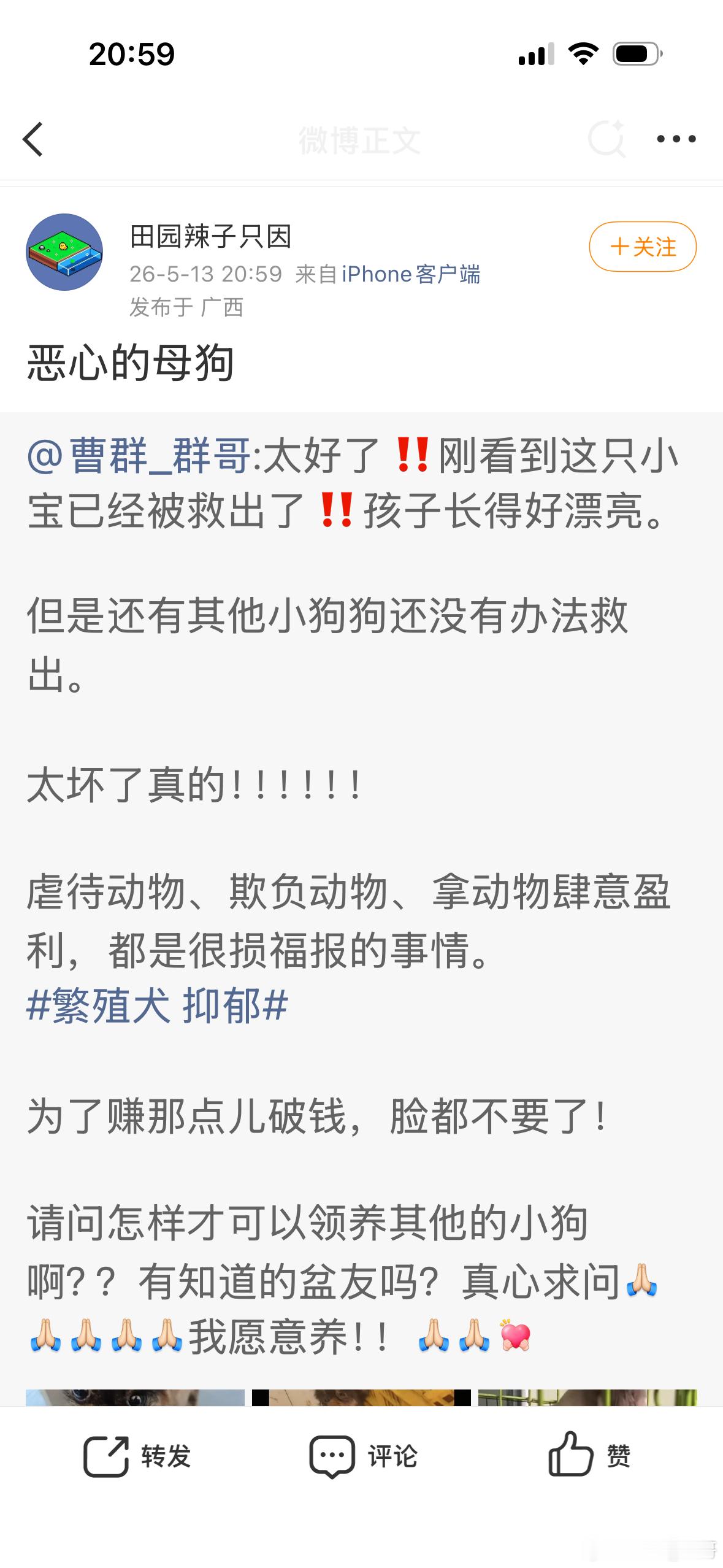 ？？这种支持把宠物当繁殖犬的人，不是同类就是……还有下次别这么没种，骂完人就拉黑