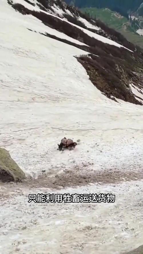 近日，一名驴友在5588米雪山攀登时，因操作不当滑坠身亡，令人痛心。雪山探险充满
