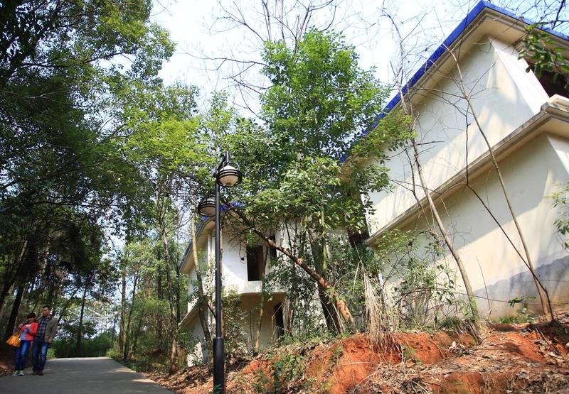 荒野求生选手为何能从险象环生的野外回到舒适别墅？这背后有什么深层次的意义？荒野