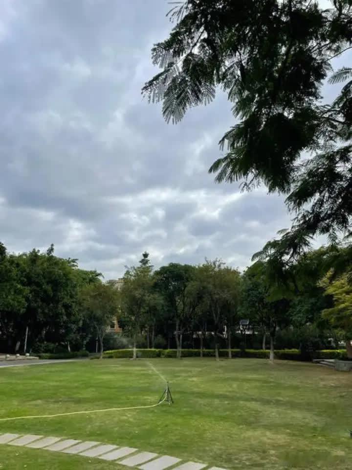 当年，正当红的刘德华在万人演唱会现场，突然跪下向吴倩莲发起了求婚，可却被吴倩莲摇
