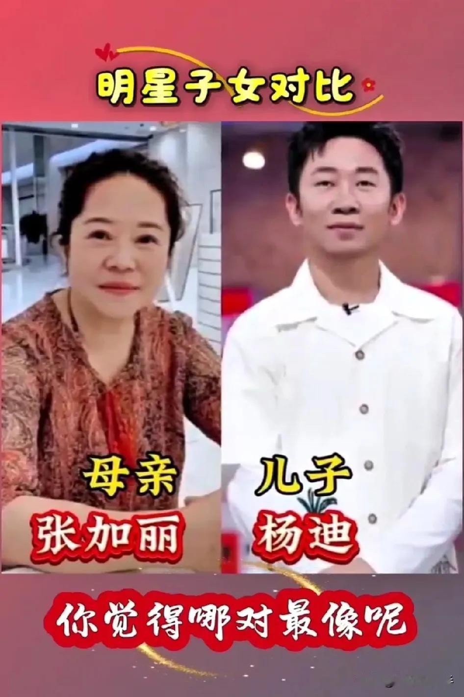杨迪和他妈共用一张脸，寇振海儿子比他还高，这4对明星母子父子太像了。杨迪和张