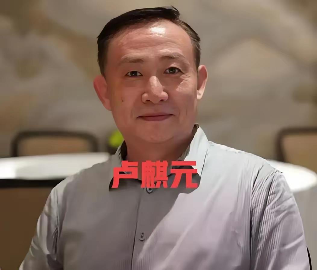 卢麒元再次开火，这次瞄准了"十五五"规划中若隐若现的华盛顿共识幽灵。他尖锐地指出