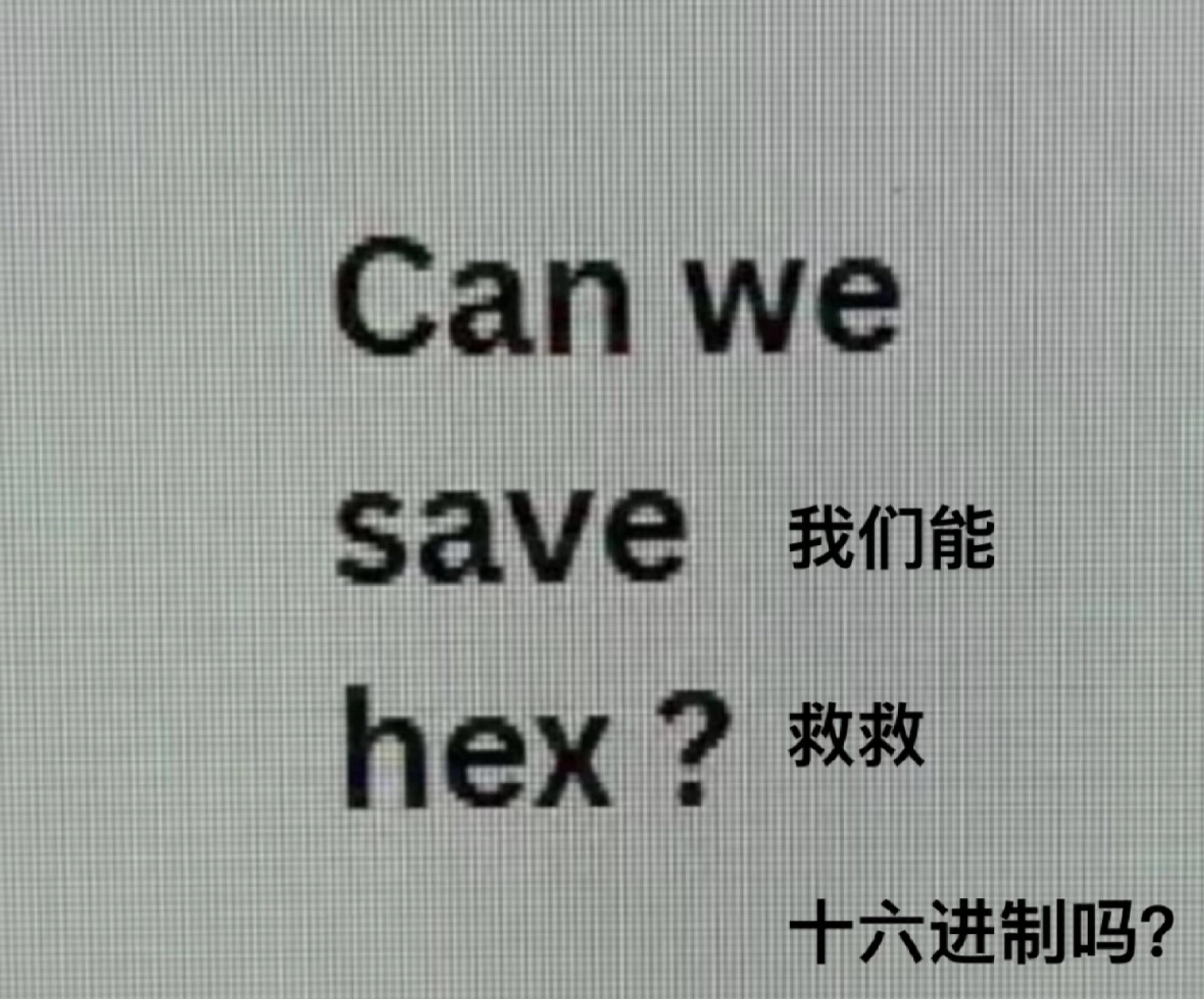 给我多年的英语功德笑没了