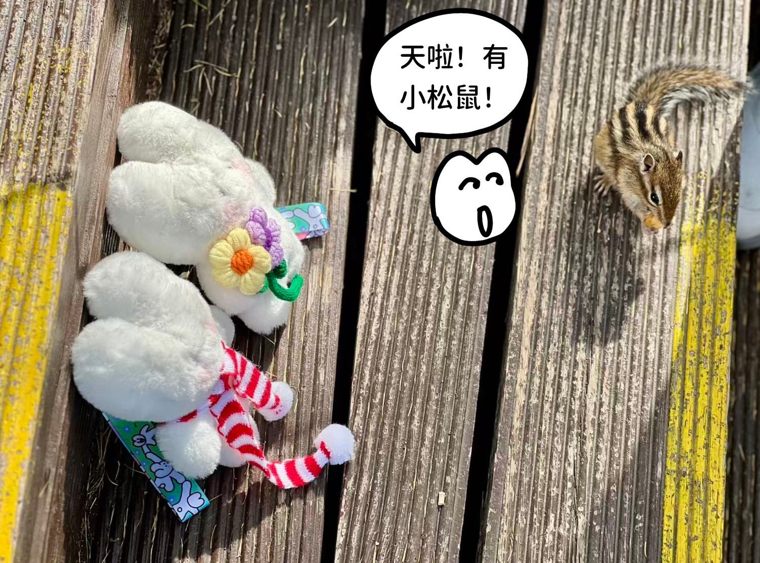 继续更新老爸旅途照片漫画兔家往事​​​