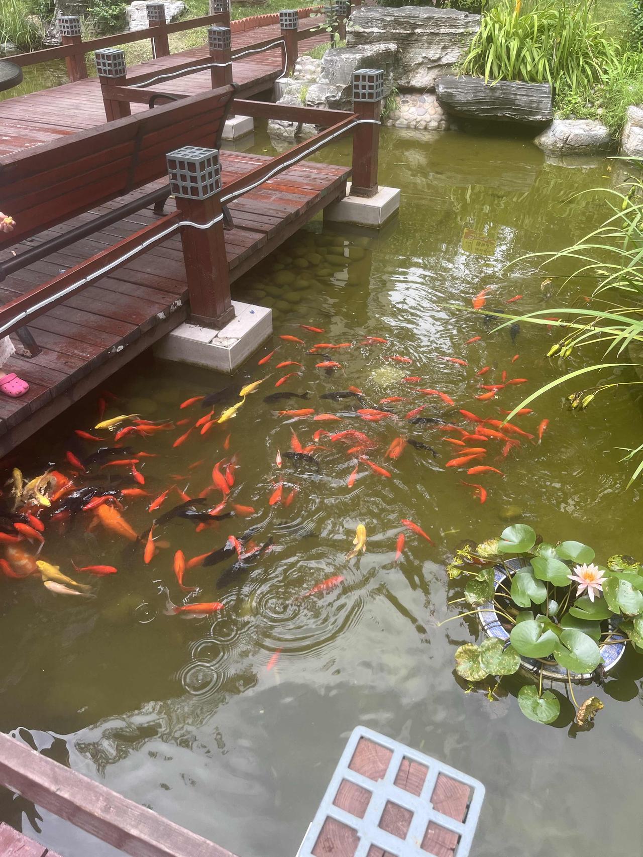 2026年在北京买房，请记住““三条铁律”，闭眼买都不亏！对于普通人而言，能