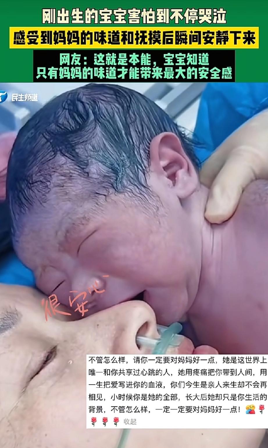 暖到心窝里！新生儿哭闹不止护士哄不好，一贴妈妈胸口秒安静，这就是刻在骨子里的母子