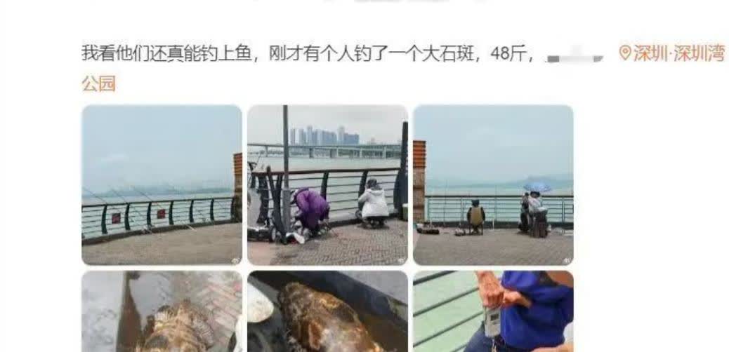 有钓鱼人在深圳湾公园钓到48斤大石斑鱼，差不多值30000块，被眼馋的人质疑。结