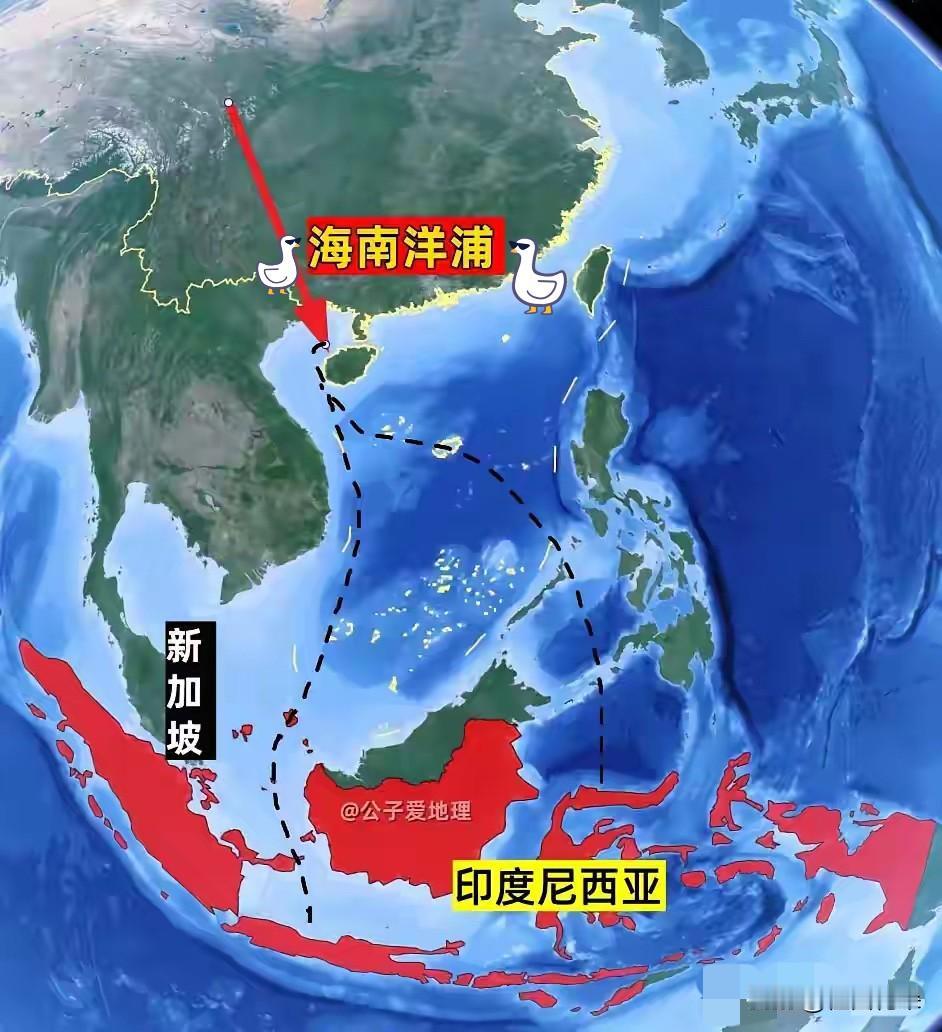 印尼货轮集体改道中国海南！印尼的货轮，突然集体向北拐了个大弯。这个举动，直接