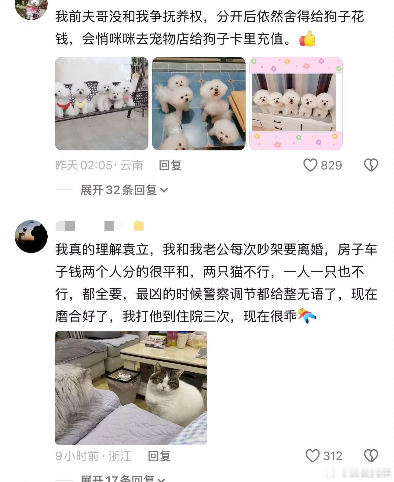 一代人有一代人的抚养权要争😂质疑袁立理解袁立成为袁立！！！