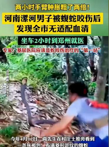 河南漯河，一位大哥发现村里土坡上有一只满身花纹的蝮蛇，他赶紧联系相关部门，在引导