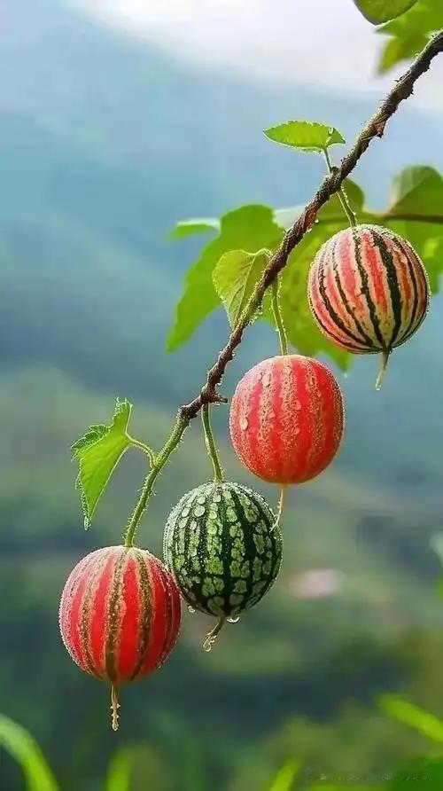 当一个人不再联系你，你该怎么办？在人际关系中，人与人之间的联系有时会因为各种