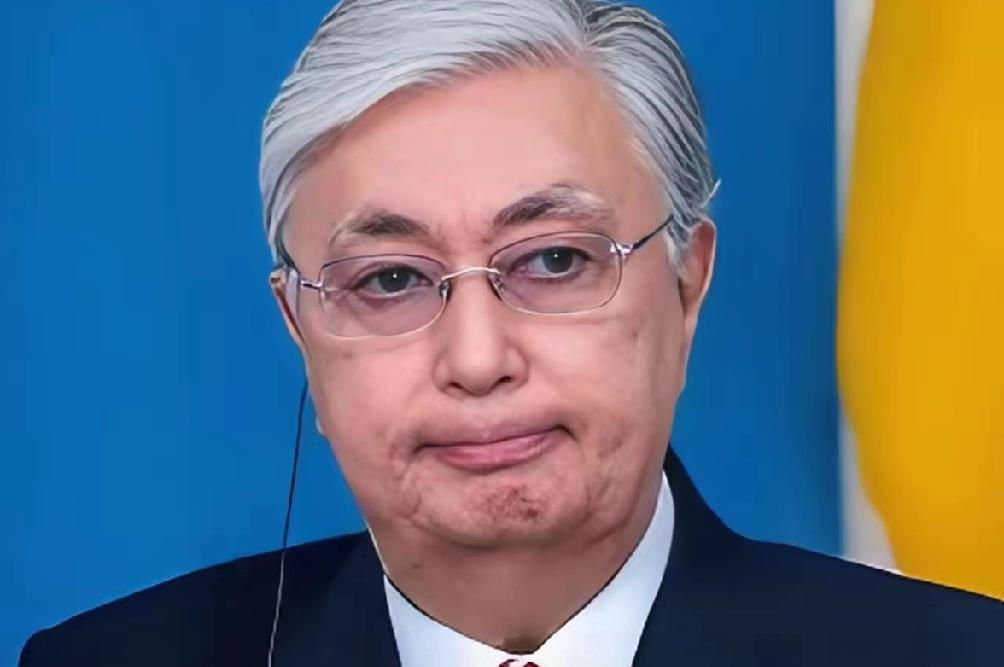 哈萨克斯坦总统托卡耶夫在访问日本演讲中说道：“历史已经证明，全球稳定的形成不仅取